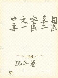 中文字幕日韩人妻一区二区