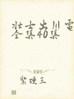 壮士出川电视剧全集40集封面