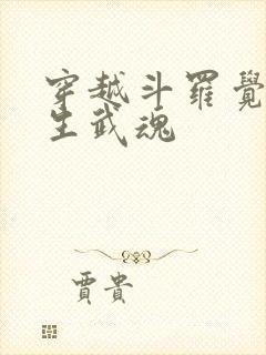 穿越斗罗觉醒十生武魂封面