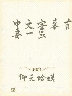 中文字幕有码人妻一区封面