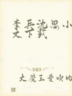 李兵沈思小说全文下载封面