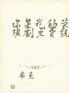 你是我的荣耀电视剧免费观看高清