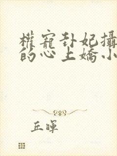 权宠卦妃摄政王的心上娇小说