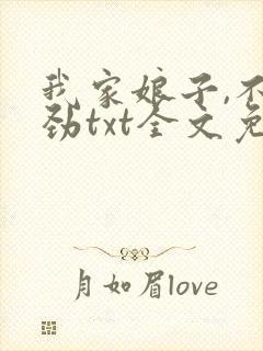 我家娘子,不对劲txt全文免费阅读