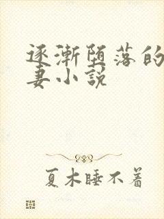 逐渐堕落的美人妻小说