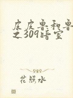 皮皮鲁和鲁西西之309暗室封面
