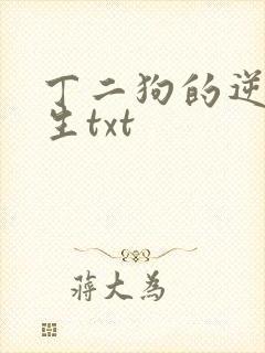 丁二狗的逆袭人生txt