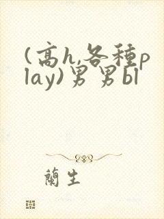 (高h,各种play)男男bl