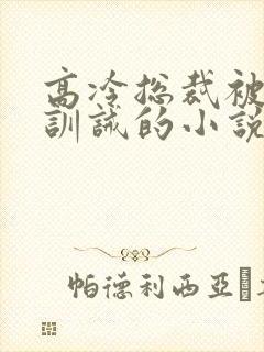 高冷总裁被强制训诫的小说叫什么封面