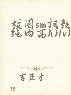 校园sm调教(纯肉高h)1v1