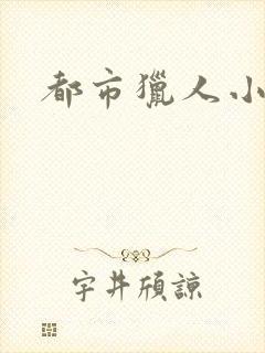 都市猎人小说封面