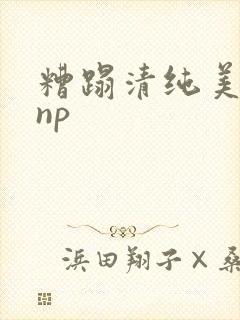 糟蹋清纯美人受np