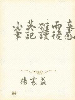 小英雄雨来读书笔记读后感50字封面