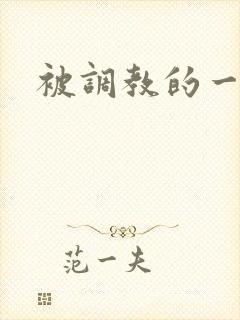 被调教的一天封面