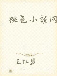 桃色小说网