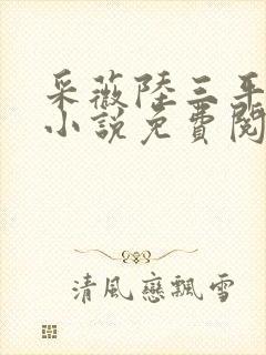 采薇陆三平养父小说免费阅读