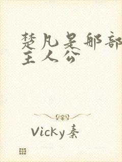 楚凡是那部小说主人公