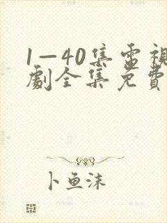1—40集电视剧全集免费观看封面