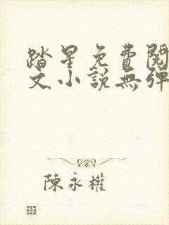 踏星免费阅读全文小说无弹窗