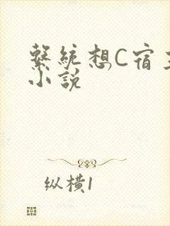 系统想C宿主的小说