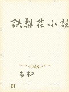 铁梨花小说