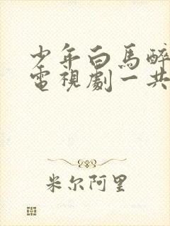 少年白马醉春风电视剧一共多少集