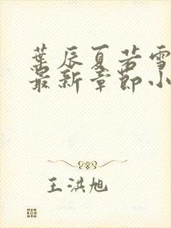 叶辰夏若雪孙怡最新章节小说