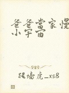 爸爸当家慢享季小宇宙封面