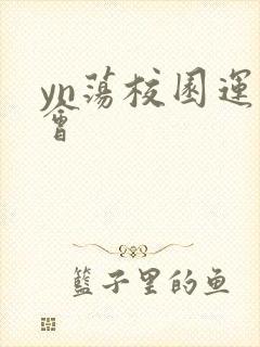 yn荡校园运动会封面