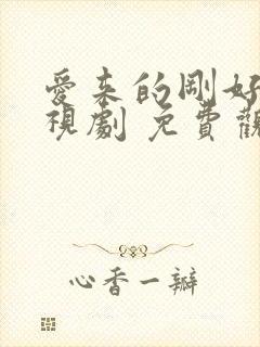 爱来的刚好 电视剧 免费观看