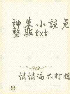 神墓小说免费完整版txt