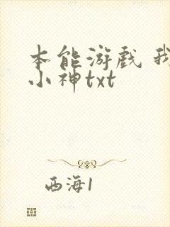 本能游戏 我是小神txt