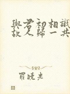 与君初相识恰似故人归一共多少集封面