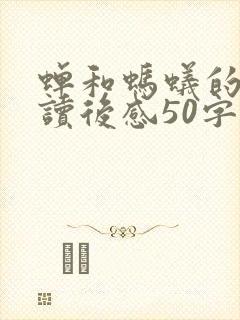 蝉和蚂蚁的寓言读后感50字封面