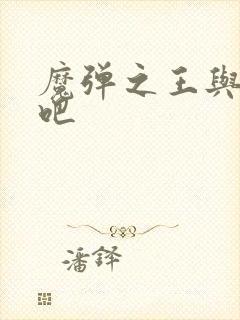 魔弹之王与战姬吧