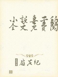 小说妻子的秘密全文免费阅读全文封面