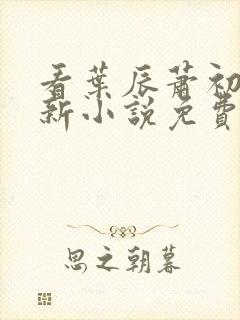 看叶辰萧初然更新小说免费全集