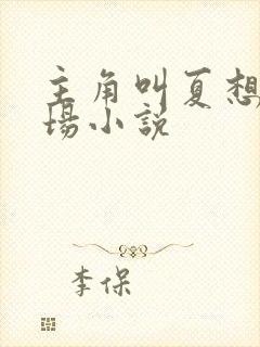 主角叫夏想的官场小说