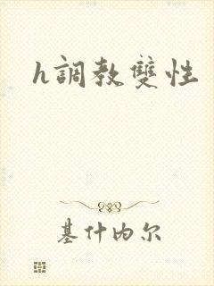 h调教双性封面
