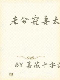 老公宠妻太甜蜜封面