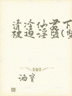 清冷仙君下山后被迫淫堕(双性大奶np)