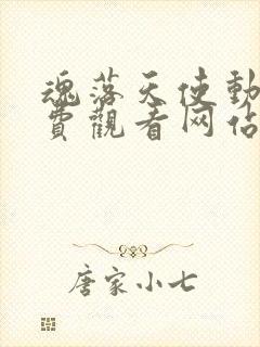 魂落天使动漫免费观看网站