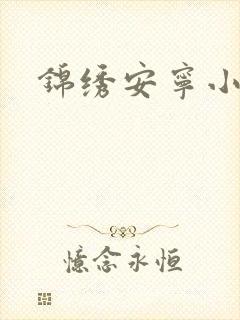 锦绣安宁小说