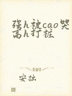 强h被cao哭高h打桩