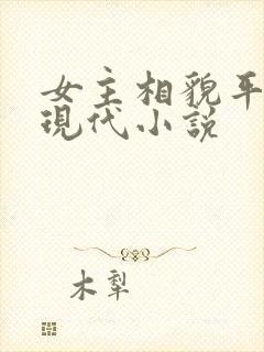 女主相貌平凡的现代小说封面