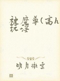 被魔尊(高h)玩淫