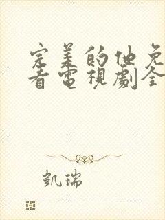 完美的他免费观看电视剧全集封面