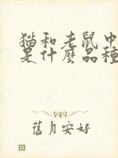 猫和老鼠中的狗是什么品种封面