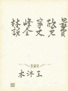 林峰宁欣最新小说全文免费阅读