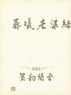 聂曦老婆结局封面